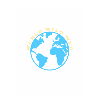World Wild Web WWW Logo