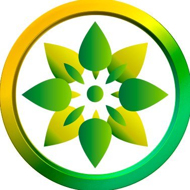 MagicMint USDM Logo