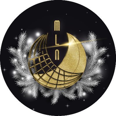 Moon Light Night sNET Logo
